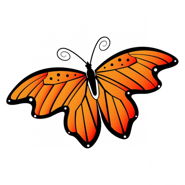 Free Butterfly Clip Art Graphics 