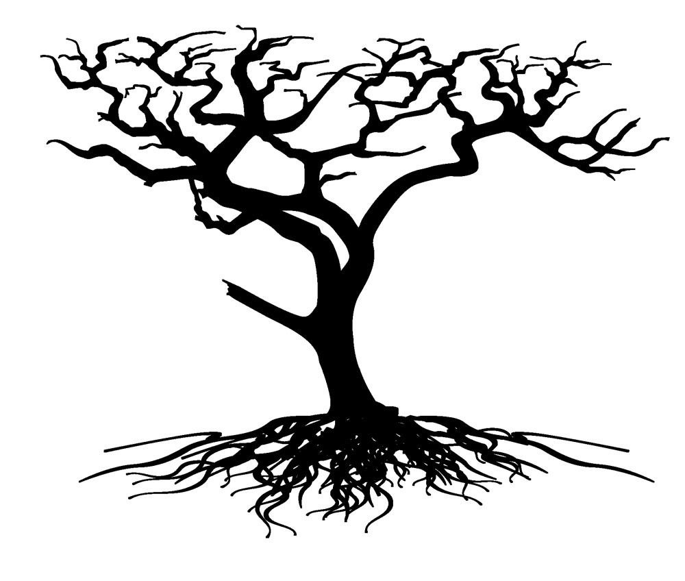 Tree Roots Clip Art 