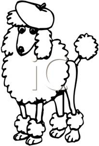 Poodle With Beret Clipart 