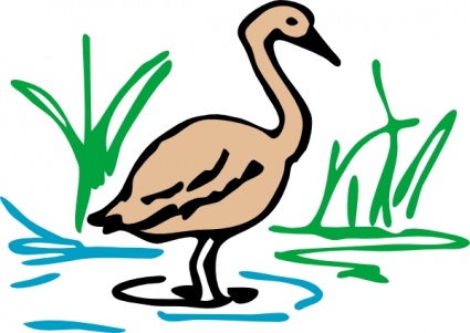 A cartoon-style illustration of a brown wading bird with a long neck standing in shallow blue water among green reeds.
