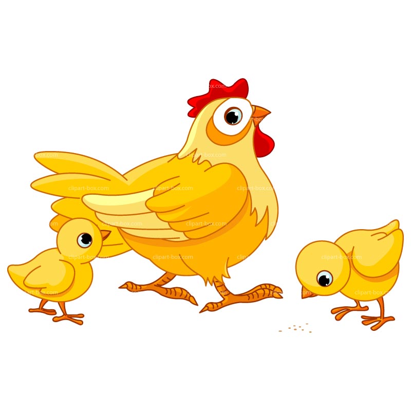 hen and chicks illustration - Clip Art Library