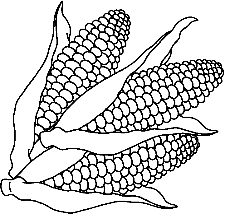 corn black and white clip art - Clip Art Library