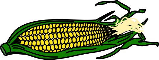 Corn clipart 4 image 