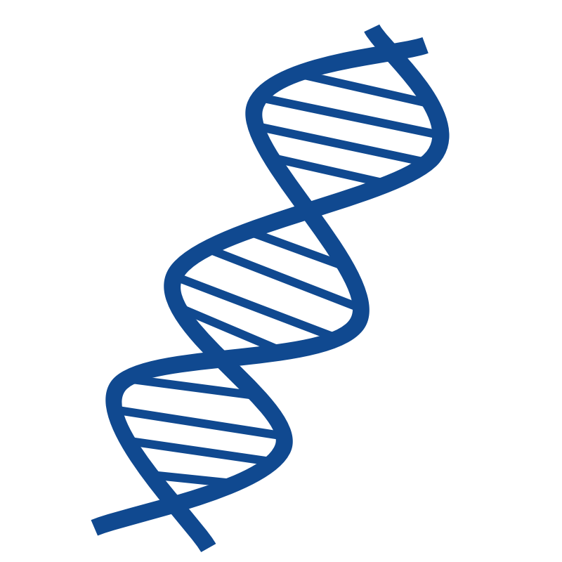 Dna Clipart Animations
