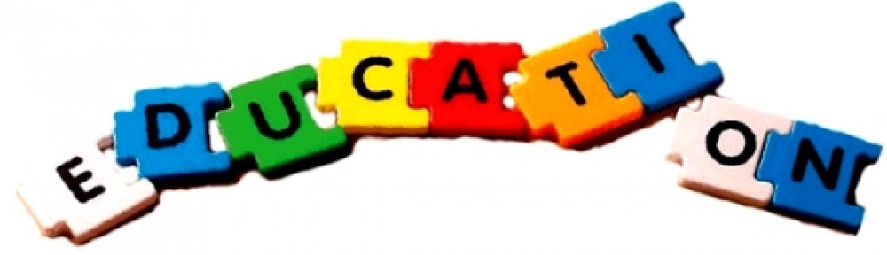 Colorful puzzle pieces拼成 the word "EDUCATION" on a white background, symbolizing learning and integration.