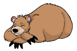 hibernating bear clipart