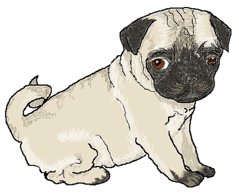 Free Pug Cliparts, Download Free Pug Cliparts png images, Free ClipArts ...
