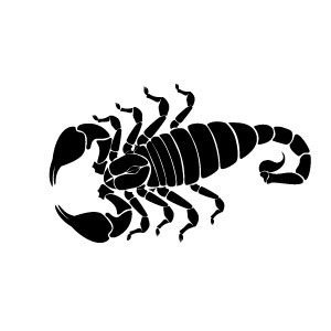 scorpion clipart - Clip Art Library