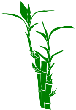 Bamboo Plant Illustration - Free Vector Graphic for Design & Web Use