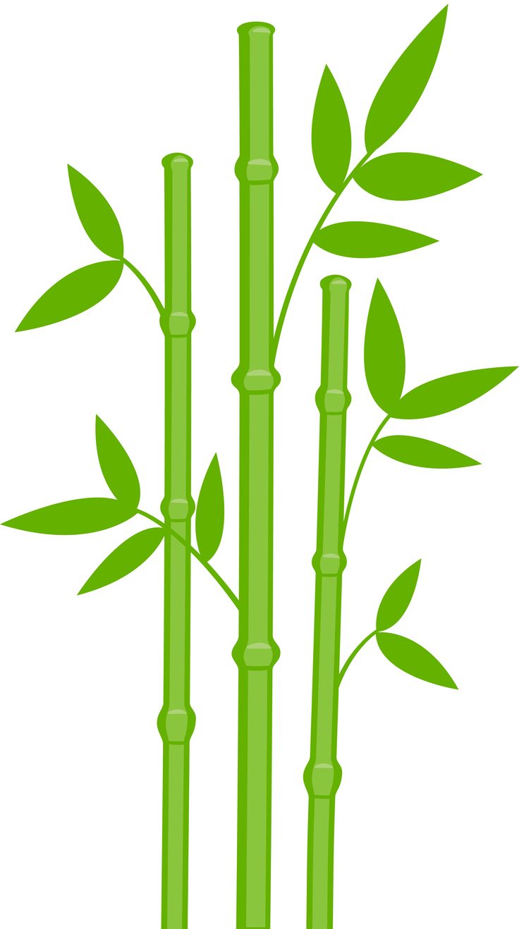 Bamboo Clip Art Image 