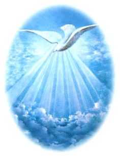 Holy Spirit Dove Symbolism - Divine Presence and Blessing