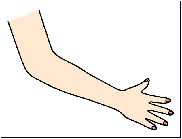 body parts flashcards arm - Clip Art Library