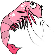 A cheerful pink cartoon shrimp with large eyes, striped body, and waving antennae.