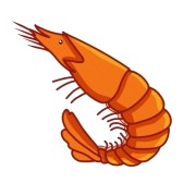 Bright orange cartoon shrimp with detailed segments, antennae, and curled tail on white background.