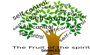 The Tree of Life - Biblical Symbolism & Spiritual Meaning