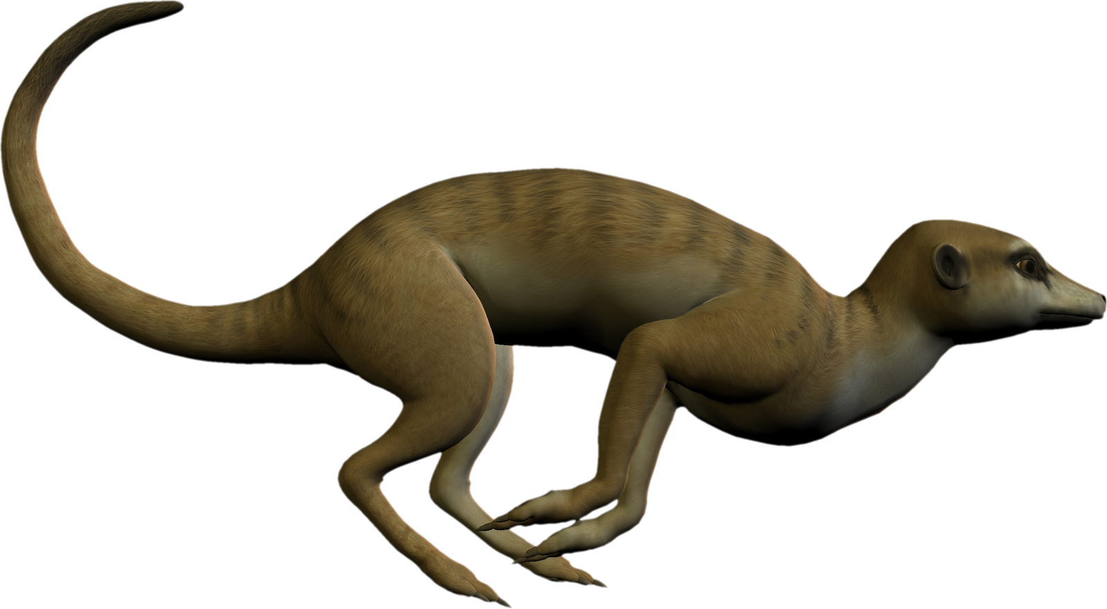 Meerkat in Motion - Detailed 3D Render of Suricata suricatta