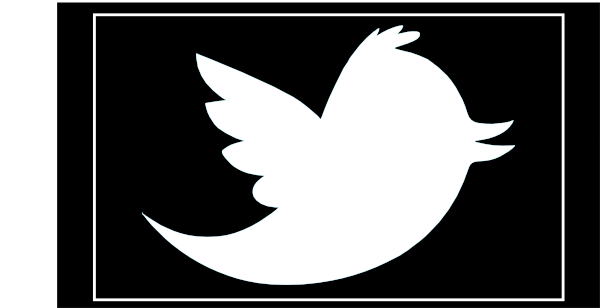 Twitter Logo - Official Bird Icon for Social Media Branding