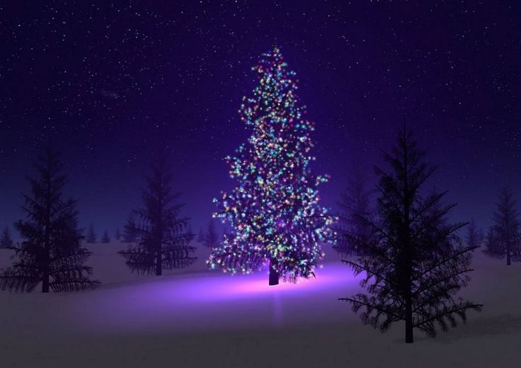 A glowing multicolored Christmas tree stands in a snowy forest under a starry purple night sky, surrounded by dark evergreens.
