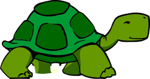 Green Turtle Clip Art