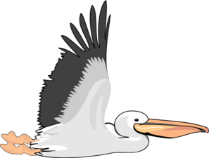 Flying Pelican Clipart 