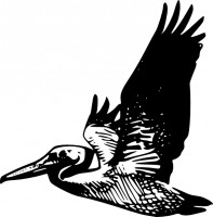Pelican clip art Free vector in Open office drawing svg 