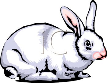 Rabbit Clip Art Image