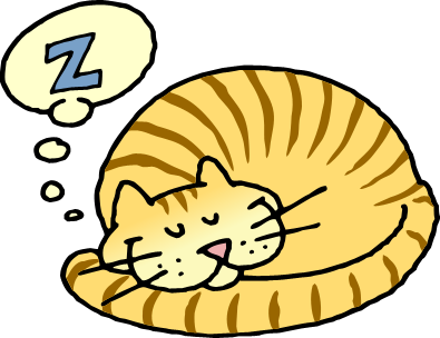 A cartoon orange tabby cat curled up asleep with a "Z" in a thought bubble above its head.