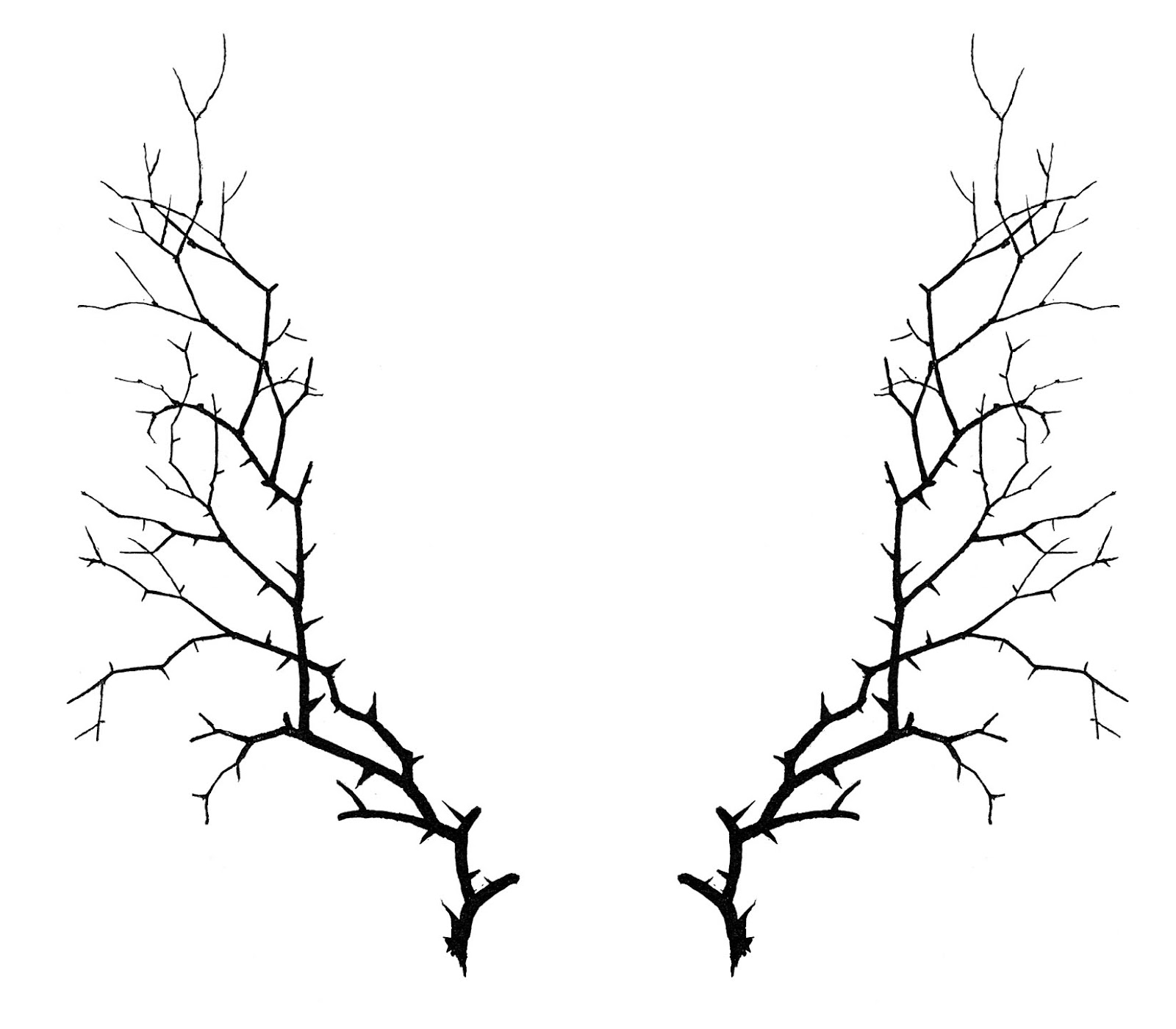 thorn clipart black and white