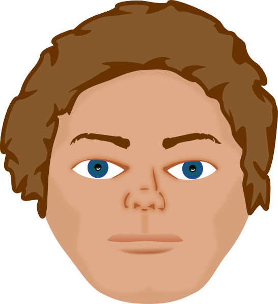Illustrated face with curly brown hair, blue eyes, and neutral expression.
