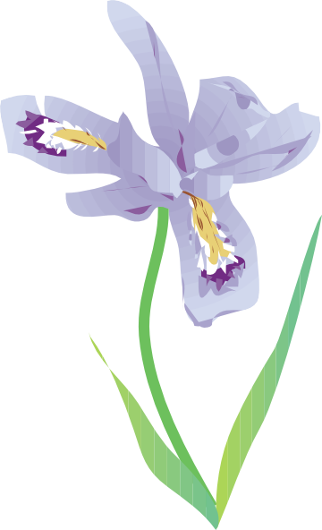 Iris Flower Clip Art Free 