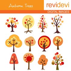Autumn illustrations