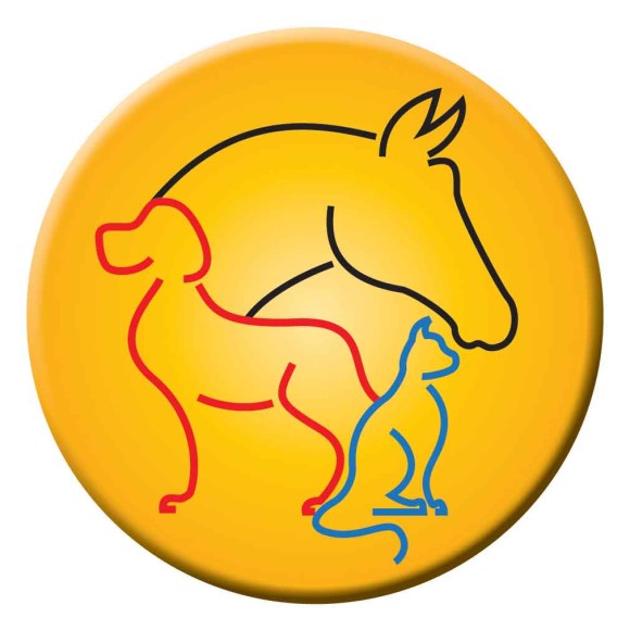 50 Cents Clipart 