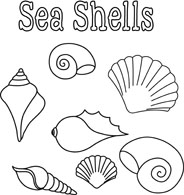 Black-and-white line drawings of seven different sea shells with the title "Sea Shells" above them.