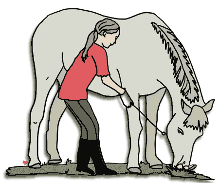 Free Caring Cliparts, Download Free Clip Art, Free Clip Art on Clipart