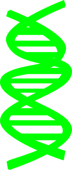 Mitochondrial Dna Clipart 
