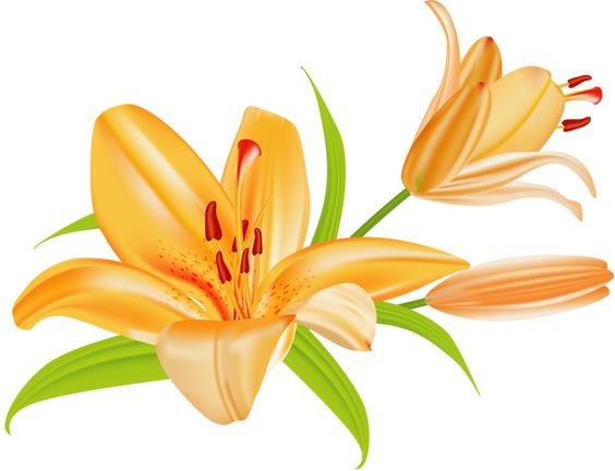 Grab This Free Summer Flower Clip Art 