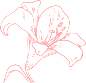 Pink Lily Clip Art 