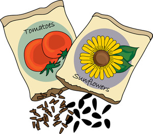 seed sewing clip art