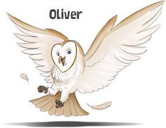 Oliver the barn owl in flight, wings spread wide, with soft white and tan feathers and expressive blue eyes.