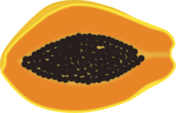 Papaya Halved View Clip Art 
