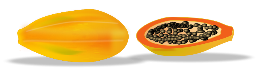 Papaya sliced Clipart, vector clip art online, royalty free design 