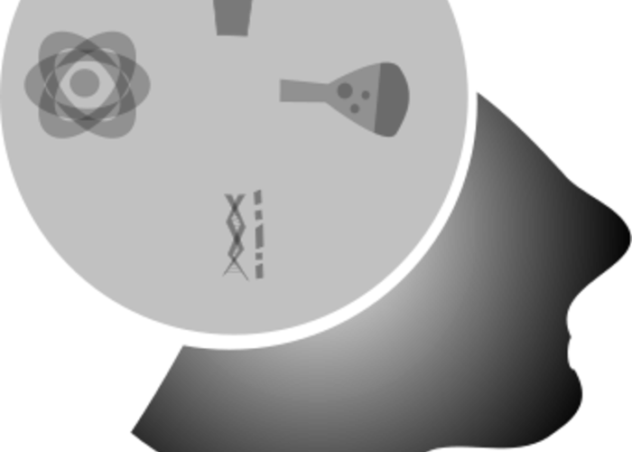 Blank Image Placeholder - Default Visual Asset