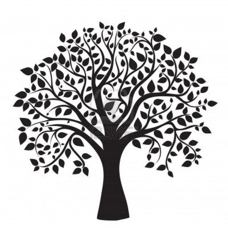 Black silhouette of a stylized tree with intricate branches and leaves forming a heart shape in the canopy.