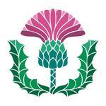 Free Thistle Cliparts, Download Free Thistle Cliparts png images, Free ...