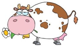 CUSSING COWS DOES NOT COUNT AS REAL CUSSING, By Justin Case