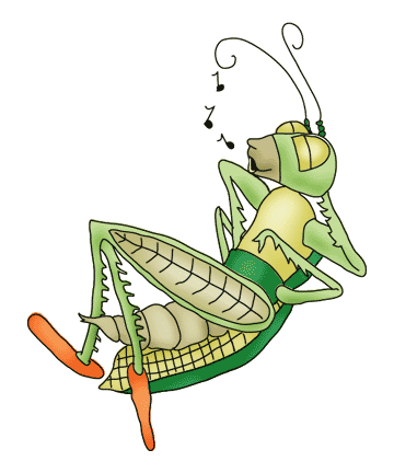 Grasshopper Clipart Clip Art Library