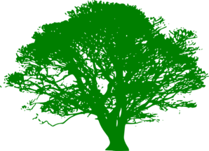 Solid green silhouette of a mature deciduous tree with full canopy and visible trunk against white background.