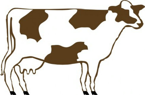 Simple line drawing of a brown-and-white dairy cow in profile, showing udder and distinctive patches.
