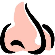 Smell cliparts 
