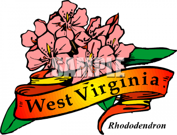 Illustration of pink rhododendron flowers with a ribbon reading "West Virginia", the state flower.
